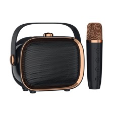 Колонка беспроводная с микрофоном NewRixing NR-138W