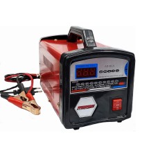 Зарядное устройство АКБ 100А 12/24В автомат